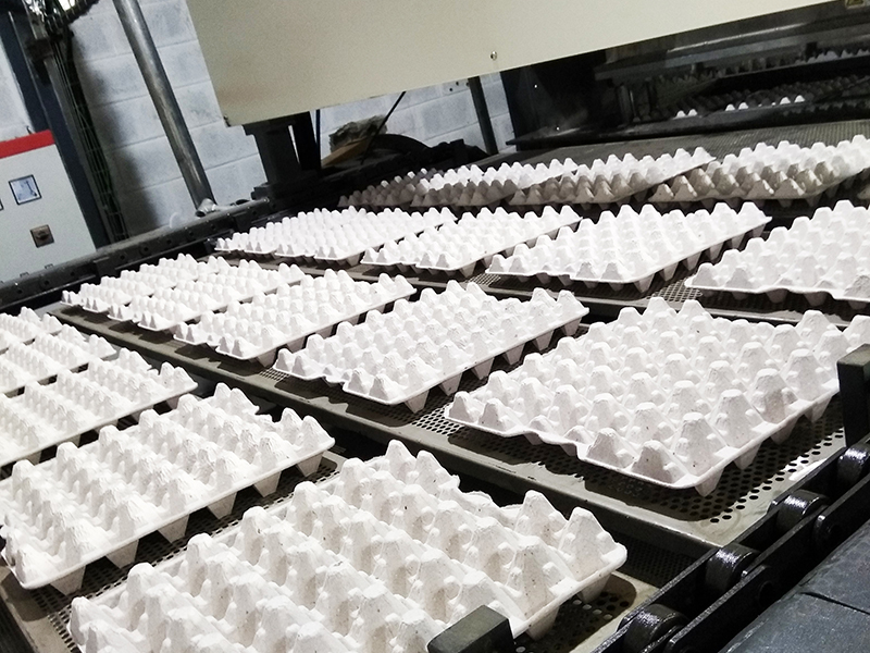  ínea de producción de charola de huevo en Dominica